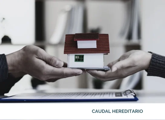 Caudal hereditario