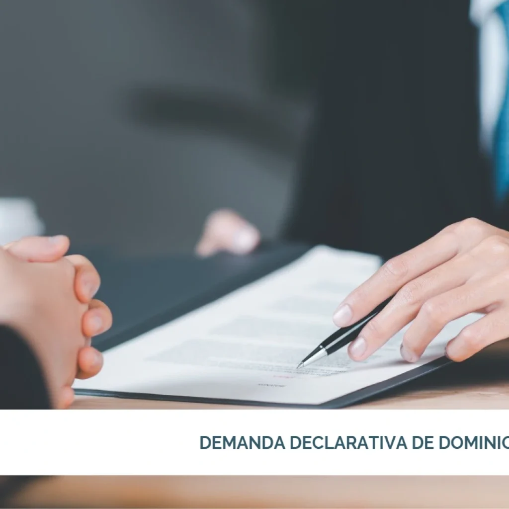 Demanda declarativa de dominio